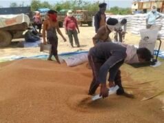 मध्यप्रदेश में गेहूं खरीदी संकट पर उठी चिंता, मुख्यमंत्री को लिखा गया पत्र