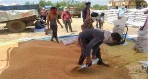 मध्यप्रदेश में गेहूं खरीदी संकट पर उठी चिंता, मुख्यमंत्री को लिखा गया पत्र