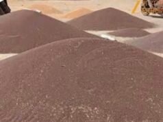 चना खरीदी शुरू नहीं, नियमों के जाल में फंसे किसान