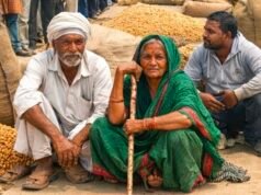 चना खरीदी शुरू नहीं, नियमों के जाल में फंसे किसान