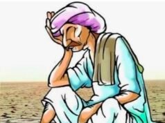 चौरई में चना खरीदी में देरी से बढ़ी किसानों की चिंता, स्लॉट बुकिंग पर उठे सवाल..!