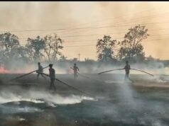 खेत में भीषण आग, 2 एकड़ गेहूं की फसल जलकर राख