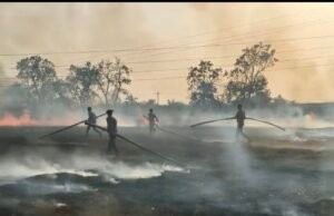 खेत में भीषण आग, 2 एकड़ गेहूं की फसल जलकर राख