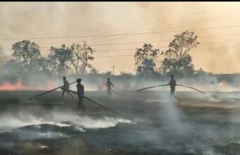 खेत में भीषण आग, 2 एकड़ गेहूं की फसल जलकर राख