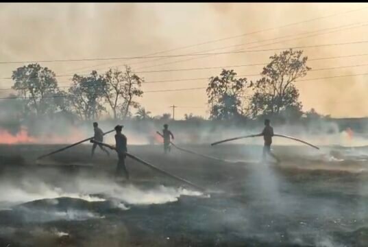 खेत में भीषण आग, 2 एकड़ गेहूं की फसल जलकर राख