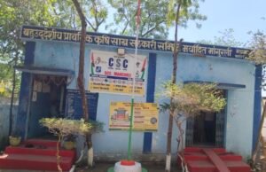 मांगुरली समिति में जिम्मेदारी पर उठे सवाल: ऑपरेटर के भरोसे संचालन की चर्चा, नियमों की जांच की मांग