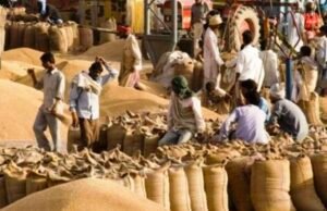 15 अप्रैल से गेहूं उपार्जन शुरू: 84 केंद्र तैयार, कलेक्टर नारायण के सख्त निर्देश — किसानों को मिलेगी हर सुविधा…
