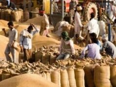 दावों की पोल: 15 अप्रैल से गेहूं खरीदी, लेकिन केंद्रों पर तैयारी शून्य — हजारों किसान असमंजस में…