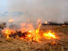 नरवाई की आग में झुलसता छिंदवाड़ा किसान परेशान, प्रशासन बेबस — समाधान अब भी दूर..!