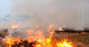 नरवाई की आग में झुलसता छिंदवाड़ा किसान परेशान, प्रशासन बेबस — समाधान अब भी दूर..!