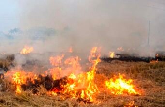 नरवाई की आग में झुलसता छिंदवाड़ा किसान परेशान, प्रशासन बेबस — समाधान अब भी दूर..!