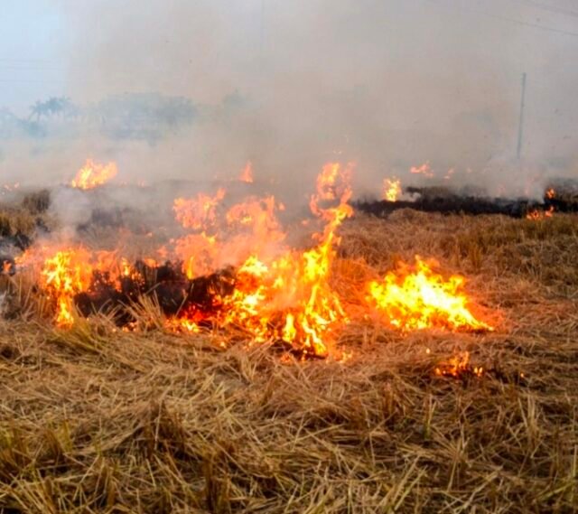 Screenshot_20260414_211857