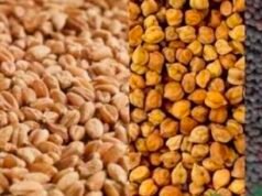 मंडियों में समर्थन मूल्य से कम खरीदी पर रोक लगे – किसान कांग्रेस