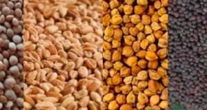 मंडियों में समर्थन मूल्य से कम खरीदी पर रोक लगे – किसान कांग्रेस