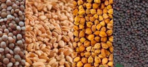 मंडियों में समर्थन मूल्य से कम खरीदी पर रोक लगे – किसान कांग्रेस