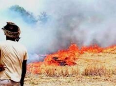 नरवाई जलाने पर सख्ती: जिले में 14 एफआईआर दर्ज