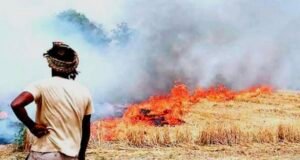 नरवाई जलाने पर सख्ती: जिले में 14 एफआईआर दर्ज