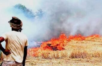 नरवाई जलाने पर सख्ती: जिले में 14 एफआईआर दर्ज