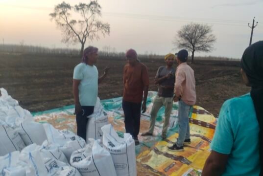 गोपालपुर समिति की खरीदी केंद्र में वसूली’ का खेल बेनकाब! किसानों से 15 किलो तक की अवैध कटौती..?