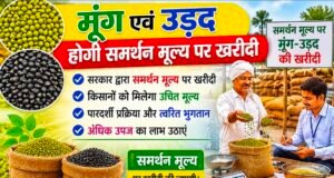 ग्रीष्मकालीन मूंग एवं उड़द उपार्जन हेतु पंजीयन 25 मई से 15 जून तक..