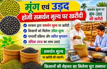 ग्रीष्मकालीन मूंग एवं उड़द उपार्जन हेतु पंजीयन 25 मई से 15 जून तक..