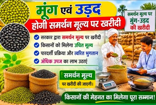 ग्रीष्मकालीन मूंग एवं उड़द उपार्जन हेतु पंजीयन 25 मई से 15 जून तक..