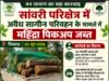 सांवरी परिक्षेत्र में अवैध सागौन परिवहन के मामले में वन विभाग की कार्रवाई, महिंद्रा पिकअप जब्त…