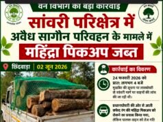 सांवरी परिक्षेत्र में अवैध सागौन परिवहन के मामले में वन विभाग की कार्रवाई, महिंद्रा पिकअप जब्त…