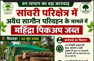 सांवरी परिक्षेत्र में अवैध सागौन परिवहन के मामले में वन विभाग की कार्रवाई, महिंद्रा पिकअप जब्त…