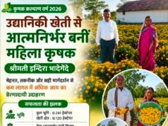 सफलता की कहानी के पीछे बड़ा सवाल: क्या उद्यानिकी विभाग की योजनाओं का लाभ सभी किसानों तक पहुंच रहा है?