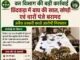 छिंदवाड़ा में बाघ की खाल, खोपड़ी और चार पंजे बरामद, दो आरोपी गिरफ्तार