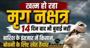 खत्म हो रहा मृग नक्षत्र, 14 दिन बाद भी बुवाई नहींबारिश के इंतजार में किसान, बोवनी के लिए खेत तैयार, सूखे पड़े खेतों ने बढ़ाई चिंता