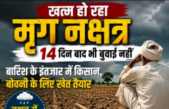 खत्म हो रहा मृग नक्षत्र, 14 दिन बाद भी बुवाई नहींबारिश के इंतजार में किसान, बोवनी के लिए खेत तैयार, सूखे पड़े खेतों ने बढ़ाई चिंता