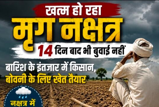 खत्म हो रहा मृग नक्षत्र, 14 दिन बाद भी बुवाई नहींबारिश के इंतजार में किसान, बोवनी के लिए खेत तैयार, सूखे पड़े खेतों ने बढ़ाई चिंता