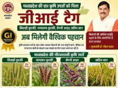 मध्यप्रदेश की चार कृषि उपजों को मिला जीआई टैग, महाकौशल के किसानों को मिलेगा बड़ा लाभ