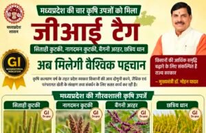 मध्यप्रदेश की चार कृषि उपजों को मिला जीआई टैग, महाकौशल के किसानों को मिलेगा बड़ा लाभ