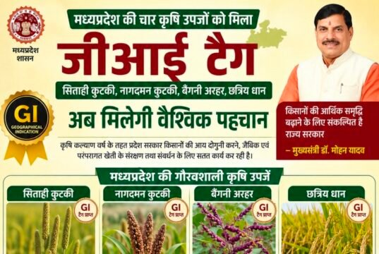 मध्यप्रदेश की चार कृषि उपजों को मिला जीआई टैग, महाकौशल के किसानों को मिलेगा बड़ा लाभ