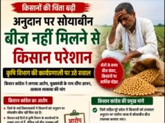 अनुदान पर सोयाबीन बीज नहीं मिलने से किसान परेशान, कृषि विभाग की कार्यप्रणाली पर उठे सवाल.?