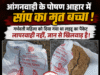 आंगनवाड़ी के पोषण आहार में निकला सांप का बच्चा, मचा हड़कंपगर्भवती महिला को मिला था लड्डू का पैकेट,