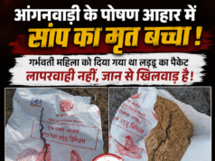आंगनवाड़ी के पोषण आहार में निकला सांप का बच्चा, मचा हड़कंपगर्भवती महिला को मिला था लड्डू का पैकेट,