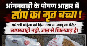 आंगनवाड़ी के पोषण आहार में निकला सांप का बच्चा, मचा हड़कंपगर्भवती महिला को मिला था लड्डू का पैकेट,
