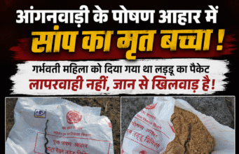 आंगनवाड़ी के पोषण आहार में निकला सांप का बच्चा, मचा हड़कंपगर्भवती महिला को मिला था लड्डू का पैकेट,