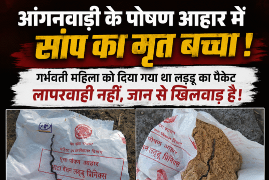 आंगनवाड़ी के पोषण आहार में निकला सांप का बच्चा, मचा हड़कंपगर्भवती महिला को मिला था लड्डू का पैकेट,