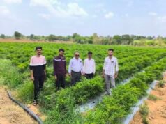 आधुनिक उद्यानिकी से बदली युवा किसान की तस्वीर युवा कृषक श्री संदीप पवार को परिश्रम…