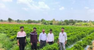 आधुनिक उद्यानिकी से बदली युवा किसान की तस्वीर युवा कृषक श्री संदीप पवार को परिश्रम…