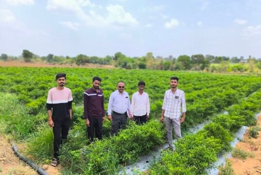 आधुनिक उद्यानिकी से बदली युवा किसान की तस्वीर युवा कृषक श्री संदीप पवार को परिश्रम…