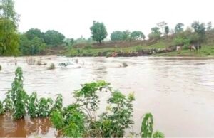 उफनती नदी में बह गई कार, तीन लोगों ने तैरकर बचाई जान..