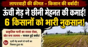 20 साल पुराना पानी का रास्ता बंद, दो एकड़ फसल तबाह! एक किसान के फैसले से 6 किसानों को नुकसान का आरोप
