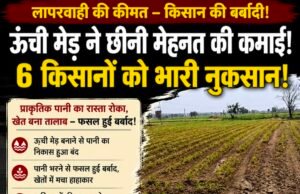 20 साल पुराना पानी का रास्ता बंद, दो एकड़ फसल तबाह! एक किसान के फैसले से 6 किसानों को नुकसान का आरोप