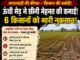 20 साल पुराना पानी का रास्ता बंद, दो एकड़ फसल तबाह! एक किसान के फैसले से 6 किसानों को नुकसान का आरोप